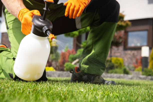 Best Outdoor Pest Control  in Minot Af, ND